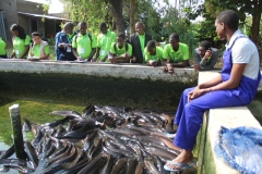 Fondation RAVI