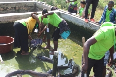 Fondation RAVI