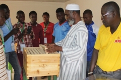 Formation en Apiculture
