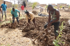 Fondation RAVI