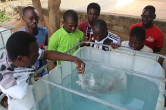 Fondation RAVI