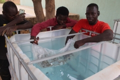 Fondation RAVI
