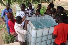 Fondation RAVI